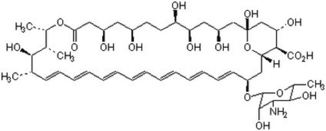 两性霉素 B，来源于链霉菌属 A polyene antifungal antibiotic that non-specifically induces loss of low molecular weight substances from cells. Binds to sterols and disrupts osmotic integrity of fungal membrane. Causes suppression of bone marrow progenitor cells.