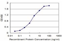 Monoclonal Anti-SH3BGR antibody produced in mouse clone 1B12, purified immunoglobulin, buffered aqueous solution