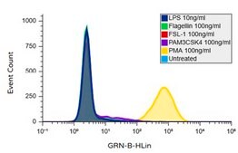 Jurkat JE6.1 T NF-κB::eGFP hTLR2 (human Toll-like Receptor 2) Cell Line
