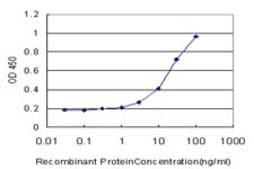 Monoclonal Anti-HPSE antibody produced in mouse clone 4D7, purified immunoglobulin, buffered aqueous solution
