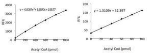 Acetyl-Coenzyme A Assay Kit sufficient for 100&#160;fluorometric&nbsp;tests