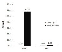 Monoclonal Anti-5-Hydroxymethylcytosine / 5-hmC antibody produced in mouse clone GT513, affinity isolated antibody