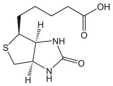 D（+）-生物素 Novabiochem®