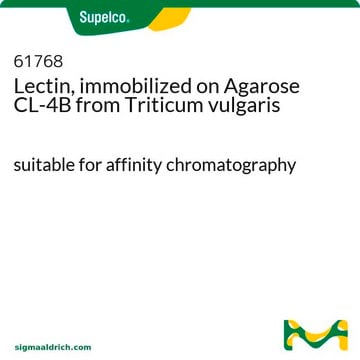 凝集素&#65292;固定在琼脂糖 CL-4B 上 来源于栽培小麦 suitable for affinity chromatography