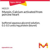 肌球蛋白，钙激活 来源于猪心脏 buffered aqueous glycerol solution, 0.1-0.5 units/mg protein (biuret)