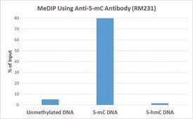 Anti-5-Methylcytosine antibody, Rabbit monoclonal recombinant, expressed in HEK 293 cells, clone RM231, purified immunoglobulin