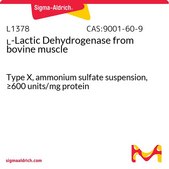 L-Lactic Dehydrogenase 来源于牛肌肉 Type X, ammonium sulfate suspension, ≥600 units/mg protein