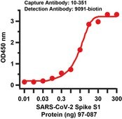 Anti-SARS-CoV-2 (COVID-19) Spike (cleavage site) (biotin) antibody produced in rabbit affinity isolated antibody