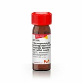 α-甘油磷酸脱氢酶-磷酸丙糖异构酶 来源于兔肌肉 Type III, ammonium sulfate suspension