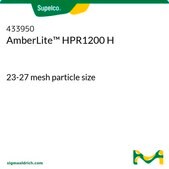 安伯来特™ HPR1200 H 氢型 23-27 mesh particle size