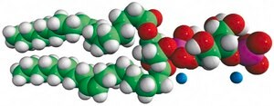 18:1 PI (3) P Avanti Research&#8482; - A Croda Brand