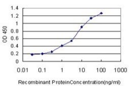 Monoclonal Anti-NR4A3 antibody produced in mouse clone 1E11, purified immunoglobulin, buffered aqueous solution
