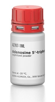 Adenosine 5&#8242;-triphosphate–Agarose lyophilized powder