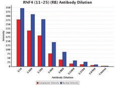 Anti-RNF4 (11-25) antibody produced in rabbit IgG fraction of antiserum, buffered aqueous solution
