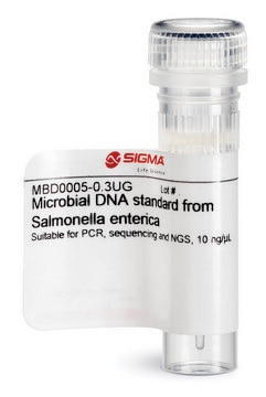 Microbial DNA standard from Salmonella enterica Suitable for PCR, sequencing and NGS, 10&#160;ng/&#956;L