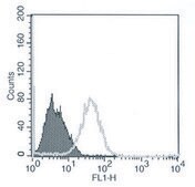 Monoclonal Anti-IRF3 antibody produced in mouse culture supernatant