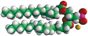 17:0 PA 1,2-diheptadecanoyl-sn-glycero-3-phosphate (sodium salt), powder