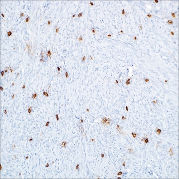 Tryptase (G3) Mouse Monoclonal Antibody