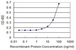 Monoclonal Anti-ZNF8 antibody produced in mouse clone 2C6, purified immunoglobulin, buffered aqueous solution