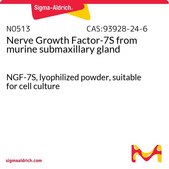 Nerve Growth Factor-7S from murine submaxillary gland NGF-7S, lyophilized powder, suitable for cell culture