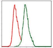 Monoclonal Anti-ALPL antibody produced in mouse clone 2F4, purified immunoglobulin, buffered aqueous solution