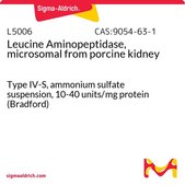 Leucine Aminopeptidase, microsomal from porcine kidney Type IV-S, ammonium sulfate suspension, 10-40 units/mg protein (Bradford)