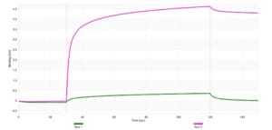 Anti-PAX8 Antibody, clone 3N17 ZooMAb&#174; Rabbit Monoclonal recombinant, expressed in HEK 293 cells