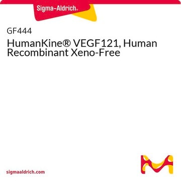 HumanKine® VEGF121, Human Recombinant Xeno-Free