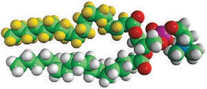 18:0-d35-18:0 PC Avanti Research™ - A Croda Brand, powder
