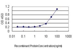 Monoclonal Anti-TLR7 antibody produced in mouse clone 2C9, purified immunoglobulin, buffered aqueous solution