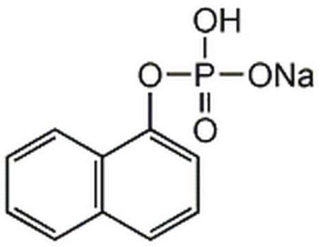 &#945;-Naphthyl Acid Phosphate, Monosodium Salt &#945;-Naphthyl Acid Phosphate, Monosodium Salt - CAS 81012-89-7, is a broad-spectrum protein phosphatase inhibitor.