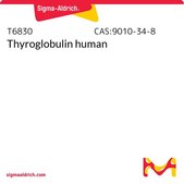 Thyroglobulin human