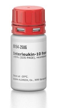 Interleukin-10 from rat &gt;95% (SDS-PAGE), recombinant, expressed in E. coli, lyophilized powder