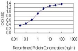 Monoclonal Anti-ASH1L antibody produced in mouse clone 4G12, purified immunoglobulin
