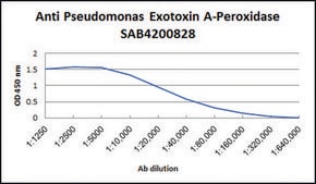 Anti-Pseudomonas Exotoxin A-Peroxidase antibody produced in rabbit IgG fraction of antiserum