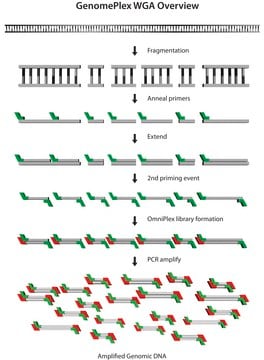 GenomePlex&#174; Whole Genome Amplification (WGA) Kit Kit for whole genome amplification from a variety of DNA sources including FFPE tissue