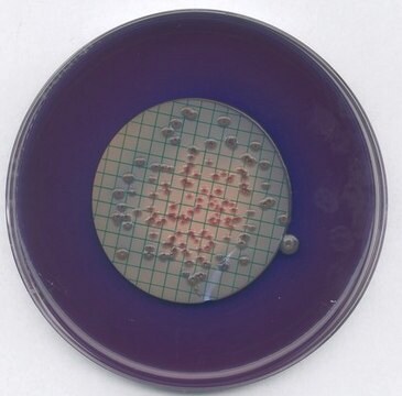 M FC agar GranuCult&#174; plus, SMWW Part 9222D, granular, for coliforms, pkg of 500&#160;g