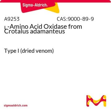 L-氨基酸氧化酶 来源于东部菱背响尾蛇 Type I (dried venom)