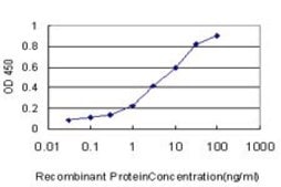 Monoclonal Anti-IRX5 antibody produced in mouse clone 6A4, purified immunoglobulin, buffered aqueous solution