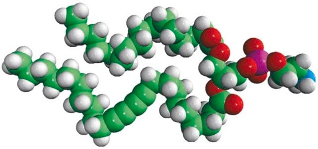 16:0-23:2 Diyne PE 1-palmitoyl-2-(10,12-tricosadiynoyl)-sn-glycero-3-phosphoethanolamine, powder