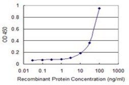 Monoclonal Anti-PANX1, (C-terminal) antibody produced in mouse clone 2E3, purified immunoglobulin, buffered aqueous solution