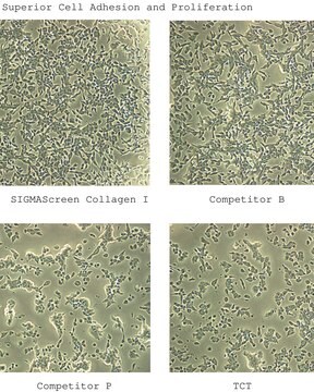 SigmaScreen&#8482; Collagen I coated plates 96-well, black/clear bottom