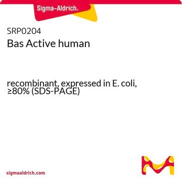 Bas Active human recombinant, expressed in E. coli, &#8805;80% (SDS-PAGE)