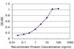 ANTI-RCV1 antibody produced in mouse clone 2B2, purified immunoglobulin, buffered aqueous solution