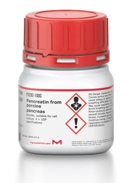 胰脂肪酶 来源于猪胰腺 powder, suitable for cell culture, 4&#160;× USP specifications