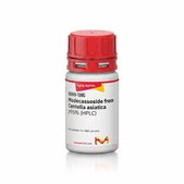 Madecassoside from Centella asiatica ≥95% (HPLC)