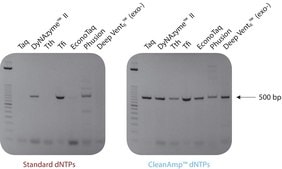 CleanAmp™ dNTP Modified dNTP set for hot-start PCR, 2 μmol of each dNTP