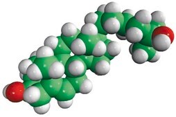 25-羟基胆固醇 Avanti Research&#8482; - A Croda Brand