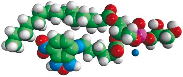 16:0-06:0 NBD PG Avanti Polar Lipids 810163P, powder