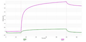 Anti-p57Kip2 Antibody, clone 1H11 ZooMAb® Rabbit Monoclonal recombinant, expressed in HEK 293 cells